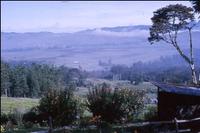 View of Aiyura, EHD Papua New Guinea circa 1968.